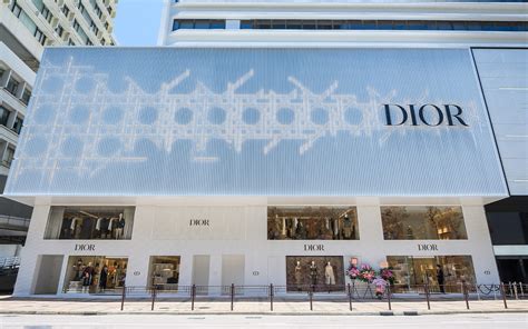 dior shoes hong kong|dior hk official website.